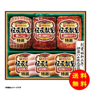 Ε `V[Y GM-40y①z ɓn yS [J[z [Ε Ε Mtg 蕨 Zbg]