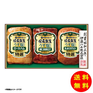 Ε `悤dグV[Y GMU-35y①z ɓn yS [J[z [Ε Ε Mtg 蕨 Zbg]