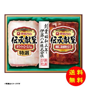 Ε `V[Y IGM-300y①z ɓn yS [J[z [Ε Ε Mtg 蕨 Zbg]