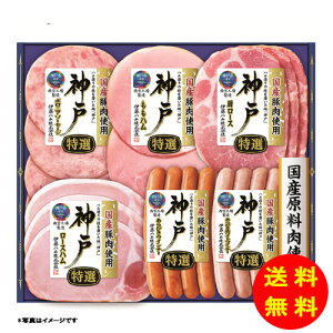 Ε _˃V[Y IKE-301y①z ɓn yS [J[z [Ε Ε Mtg 蕨 Zbg]