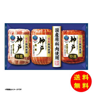 Ε _˃V[Y IKE-4y①z ɓn yS [J[z [Ε Ε Mtg 蕨 Zbg]