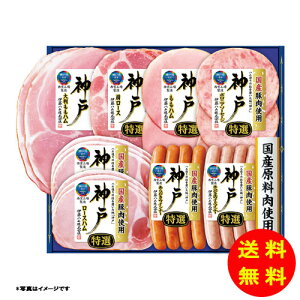 Ε _˃V[Y IKE-401y①z ɓn yS [J[z [Ε Ε Mtg 蕨 Zbg]