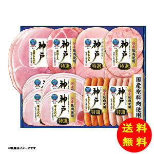 Ε _˃V[Y IKE-501y①z ɓn yS [J[z [Ε Ε Mtg 蕨 Zbg]