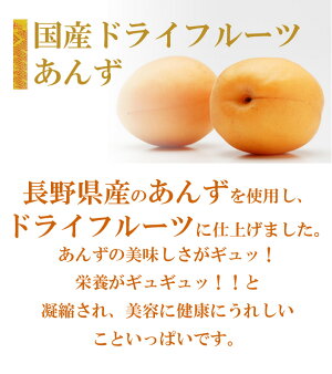 国内加工ドライフルーツ