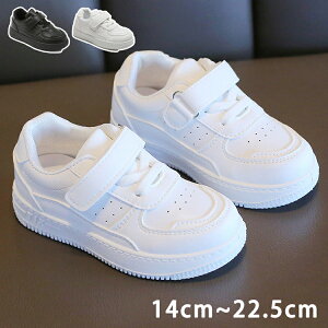 _XV[Y X|[c C  Xj[J[ LbY JWA V[Y q Cxg K n jp ^C i w ʉ ʊw y  qC LbY _X ʋC hL 