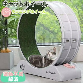キャットホイール 猫 回し車 ロック装置内蔵 静音低ノイズ 猫専用ルームランナー 猫 ランニングホイール キャットウォーク 運動不足解消 ストレス解消 キャット