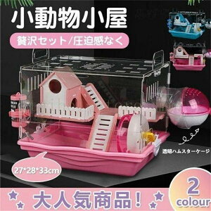 nX^[pi nX^[P[W pP[W P[W LnEX     傫  O |₷ ґZbg