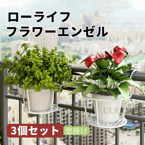 3Zbg x_ v^[ tbN Ǌ| t[G[ nMOv^[ vgnK[ oXPbg t[G[ x_  K[fjOG v^[ t