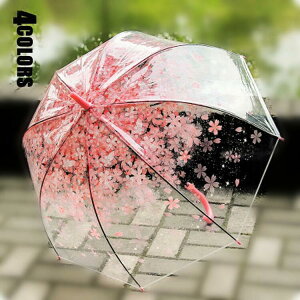 LbY P JP P JP ԕ qp Sʓ JP J OXt@Co[ 2ʓ j̎q ̎q vg qǂ q  LbY jp 킢  WjA w 