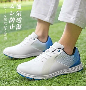 StV[Y Y XpCNX _ ϋv  Xj[J[ C G[G ʋC Stpi S ㋉ StR[X EH[LOV[Y y ϊ