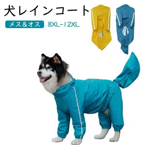    CR[g ^  CR[g Jbp CEFA pJbp  pCR[g EȒP Cp[J[ ^ ^C|` Up hh CE