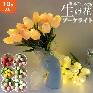 u[PCg t[Cg `[bv  10{Zbg LED USB[d dr  CeA ԑ AWg EFfBO  pXe LO  j ʉ ͂