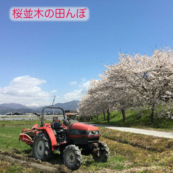 楽天市場】令和7年産 有機栽培米「きらみずき」 10kg 送料無料 (農薬不 