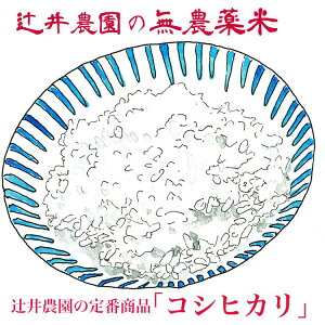 ߘa7NY@L@͔|āuRVqJv@5kg@@(_sgp)