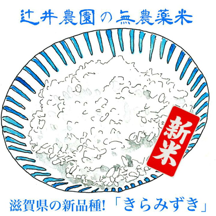 楽天市場】令和7年産 有機栽培米「きらみずき」 10kg 送料無料 (農薬不 