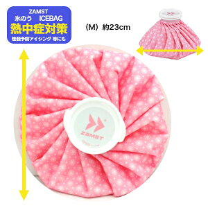 UXg ACXobN sN MTCY XX X̂ X̂M ACVOobNkzamst 378112lACXobO ACVOobO MǑ΍ObY