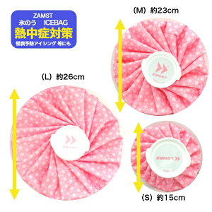 y݌ɑ[zUXg ACXobN sN XX X̂ ACVOobNkzamst 378111 378112 378113lACXobO ACVOobO MǑ΍ObY