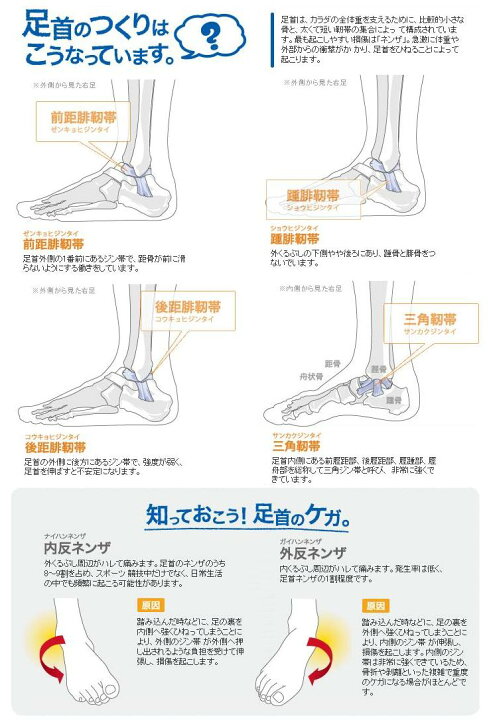 最大66 オフ Zamst ザムスト Fa 1 L Bk サポーター 足首 アンクル Shipsctc Org