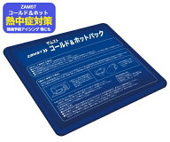＼楽天ランキング入賞／ 【在庫即納】ザムスト アイスバック 氷嚢 氷のう ホットパック アイスパック ア…