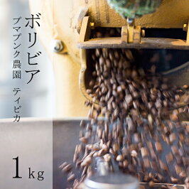 スペシャルティコーヒー豆ボリビアプマプンク農園200gティピカフルウォッシュドスペシャルティコーヒーバイオラティーナ有機認証