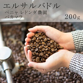 BlackFridayspecialtycoffeesetブラックフライデースペシャルティコーヒーセットアメリカンプレス手挽きミルグリットエルサルバドルレドンダ農園パカマラ200g