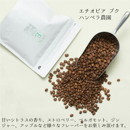 エチオピアブク200gスペシャルティコーヒートップオブトップハンベラ農園ナチュラル(サンドライ)オーガニック認証コーヒー豆