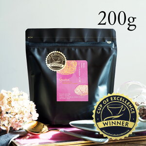 yʌzONR[q[ELVR |V[gX_i100g / 200gjiFQCVFGNXy^ i`xFCOE Mexico Pocitos / Geisha / Experimental NaturalCup 