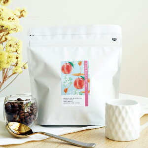 XyVeBR[q[ERX^J pXg[_i100g / 200gjJgDAC / t[fpXg[ijCosta Rica La Pastora / Catuai / Flor de La Pastora Process / High roast蓤 