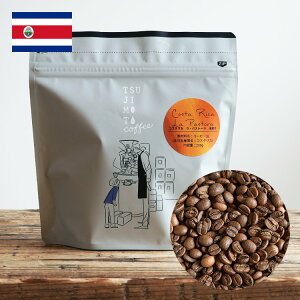 XyVeBR[q[ERX^J EpXg[_ 1kgi200g×5܁jJgD[ JgDAC / S[fEnj[ /  [蓤 Costa Rica La Pastora / Caturra / Catuai / 