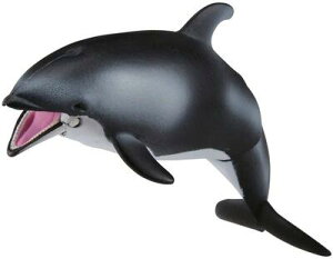 Aj}Ahx`[@AjA@AS-19@J}CJiɕVerDj