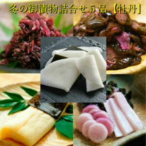 yz~̌Еl5iyOz疇ЁA̍؁A卪ЁAtΒЁAӉZ̐Ԃ