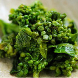 【令和7年】菜の花漬（塩漬けタイプ）【京都大原自社農園産】