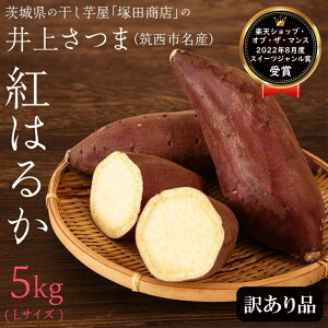 _Ԍ V^ 󂠂 コ g͂邩 5,000g Ε IׂTCY MTCY LTCY V uh 錧Y }sY ܂ Tc}C   C s A