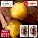 訳あり 焼き芋 1,000g(500g×2袋) 送料無料 茨城 紅はるか Sサイズ 専門店 さつまいも 蜜焼き芋 蜜芋 壺 ひんやりスイーツ 焼芋 やきいも ふるさと納税 高糖度 甘い 腸活 美容 低GI 和菓子 手作り 国産 サツマイモ お徳用 プレゼント ギフト スイーツ