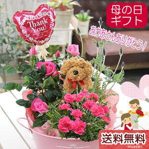 ラベンダー 鉢植え 生花の人気商品 通販 価格比較 価格 Com