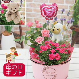 母の日 花 鉢植え ギフト カーネーション 花鉢 鉢花【ブリキやBOXに カーネーションとミニバラ、ラベンダー季節の鉢花 寄せカゴセット】ミニバラ　ラベンダー 送料無料