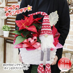 |CZ`A NX}X Ε |CZ`A  Mtg  LL郉t|CZ`AɖύX\ Ђ̃T^ |CZ`A oXPbg񂹔 A 