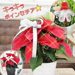 |CZ`A  NX}X Ε Mtg LL郉t|CZ`AɖύX\ |CZ`A Iׂ锫Jo[  A 