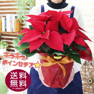 |CZ`A 5  NX}X LL|CZ`AɕύXł܂ Ε Mtg  A a