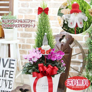 NX}X Ε ؂₩t܂ō炭~jVN NX}Xc[ ۃuL̊񂹐A {[^Cv  A a  VN