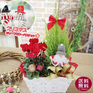 NX}Xc[ NX}X Ε zCgoXPbg Iׂ邨Ԋ񂹃JS NX}Xv[g v[g  