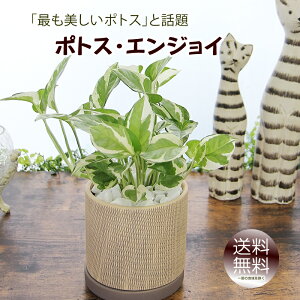 |gX GWC A~͗lۓ픫 ϗtA  v[g Mtg Vzj JXj zj a LO j ސEj wj Əj Jj J@j JX