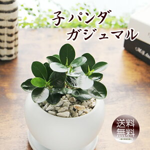 p_KW} ϗtA  v[g Mtg KW} Vzj zj JXj Jj JƏj ړ]j a 蕨  j LO Əj wj 