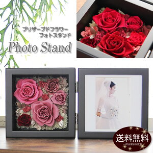 vU[uht[ ʐ^ tHgt[ytHgvX^h tBZzʐ^t[  Mtg v[g NX}Xv[g a  j ސEj LO  