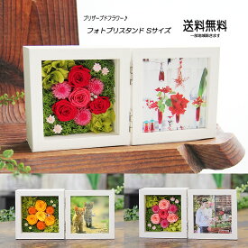 プリザーブドフラワー 母の日 花 ギフト プレゼント 写真立て 写真と飾ろう フォトプリスタンド Sサイズ 誕生日 送料無料 誕生日 退職祝い 卒業祝い 入学祝い 送別会 お礼 お祝い 結婚記念日 歓迎 結婚祝い 開店祝い 出産祝い 引越し祝い 新築祝い 就職祝い