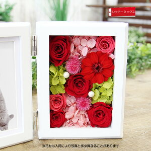 vU[uht[  Mtg v[g ʐ^ tHgt[ ʐ^Ə낤ytHgvX^h zCgzzʐ^t[  a Əj j LO ʉ 