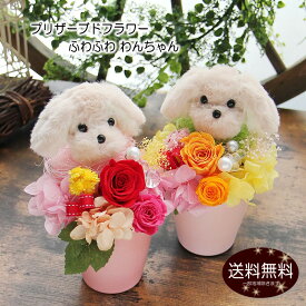 プリザーブドフラワー 母の日 花 ギフト プレゼント ふわふわ わんちゃんVerポムリ アレンジメント 犬 誕生日 退職祝い 卒業祝い 入学祝い お祝い 結婚記念日 退職祝い 送別会 開店祝い 出産祝い 引越し祝い 新築祝い 就職祝い ペット お供え お礼