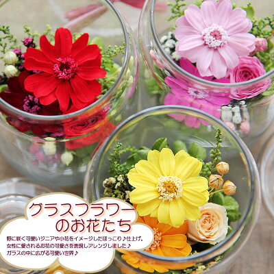 楽天市場 プリザーブドフラワー 送料無料 ガラスドーム ガラス器の中にナチュラルアレンジ グラスフラワー 誕生日 花 プレゼント ギフト フラワーポケット 塚口ガーデン