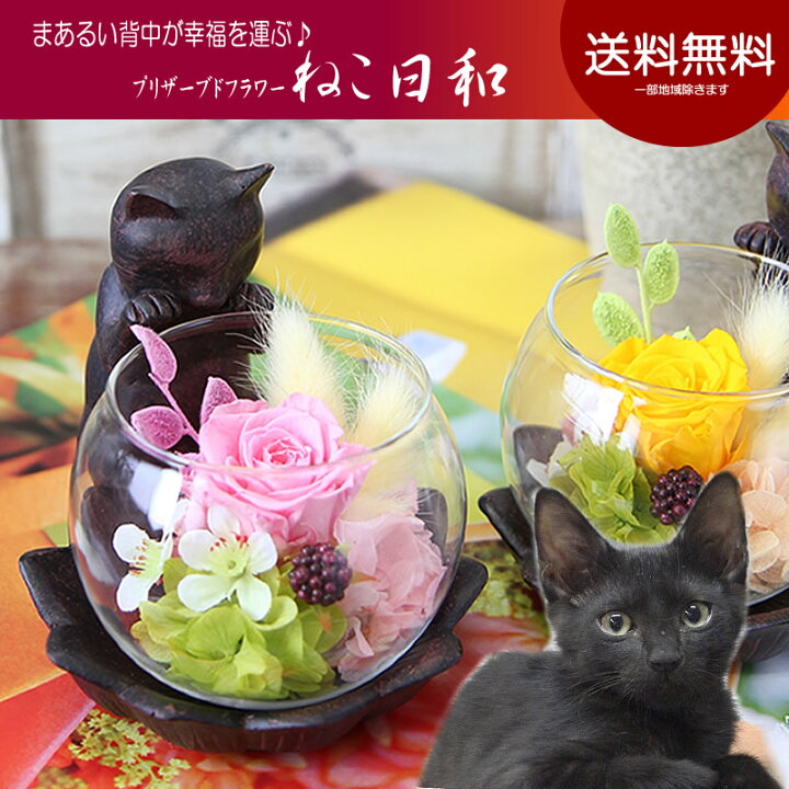 楽天市場 プリザーブドフラワー 覗き込む猫 ねこ日和 誕生日 送料無料 ケース入り アレンジメン お歳暮 ギフト 花 プレゼント 誕生日 お礼 お祝い 結婚記念日 卒業祝い 入学祝い 退職祝い 送別会 結婚祝い 開店祝い 出産祝い 新築祝い お見舞い 就職祝い ペット お供え