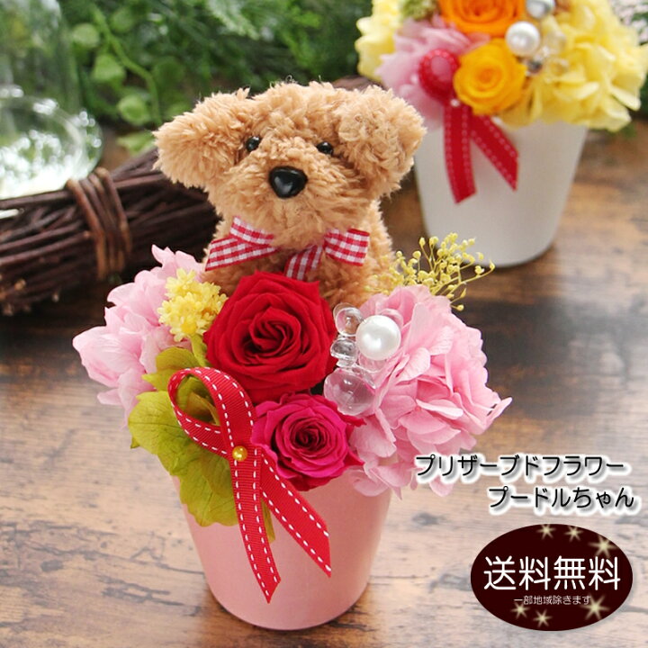 楽天市場 プリザーブドフラワー プードルちゃんverポムリ アレンジメント 犬 送料無料 敬老の日 花 プレゼント ギフト 誕生日 お祝い 結婚記念日 卒業祝い 卒園祝い 入学祝い 退職祝い 送別会 結婚祝い 開店祝い 出産祝い 引越し祝い 新築祝い お見舞い 就職祝い ペット